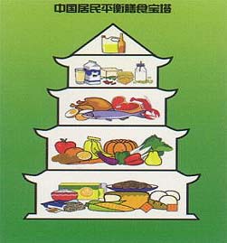 平衡膳食宝塔 构建健康饮食的科学指南