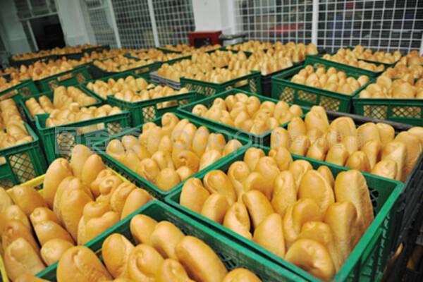 现代面包工厂 食品生产的科学流程与质量管理